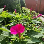 Casa Vienna بيت ضيافة إيفوري نورد