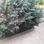 Casa Vienna 艾福雷诺德