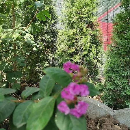 Casa Vienna Pensiune 3*
